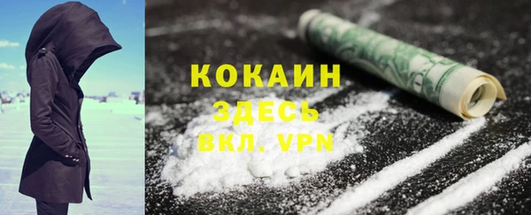 Альфа ПВП Бородино