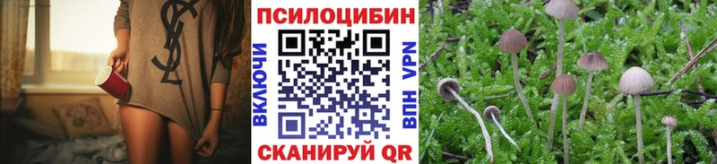 Псилоцибиновые грибы Psilocybe  Абакан 
